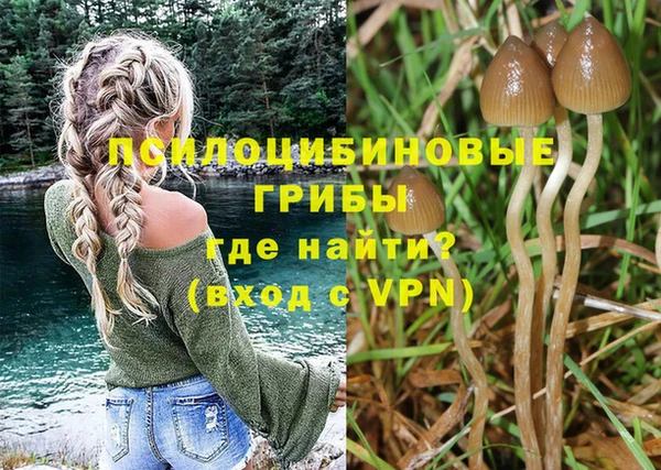 круглые Калининец
