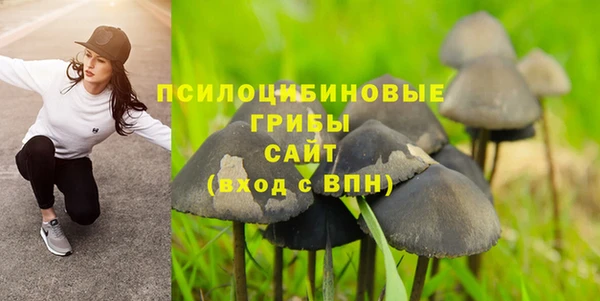 МДМА Инсар